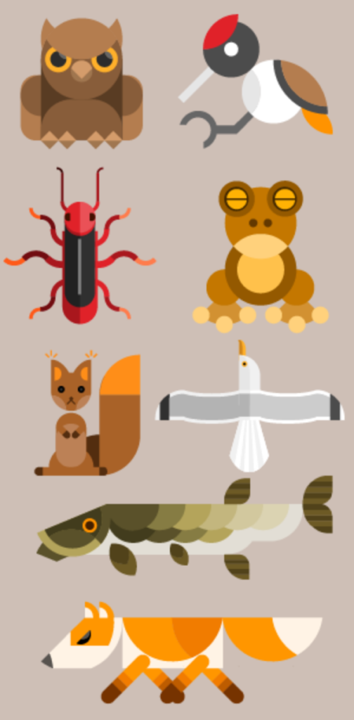 Erilaisia eläimiä rivissä. Pöllö. Ötökkä. Kettu. Kala. Orava. Lintu. Sammakko. Lokki. Kuvitus.
