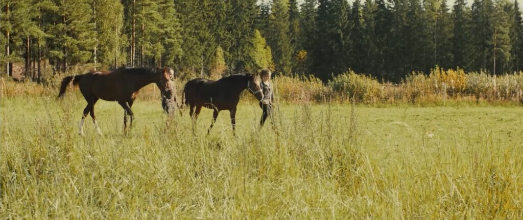 Laajakuva kesäisestä niitystä, jolla kaksi nuorta naista taluttaa hevosia. Taustalla metsä.